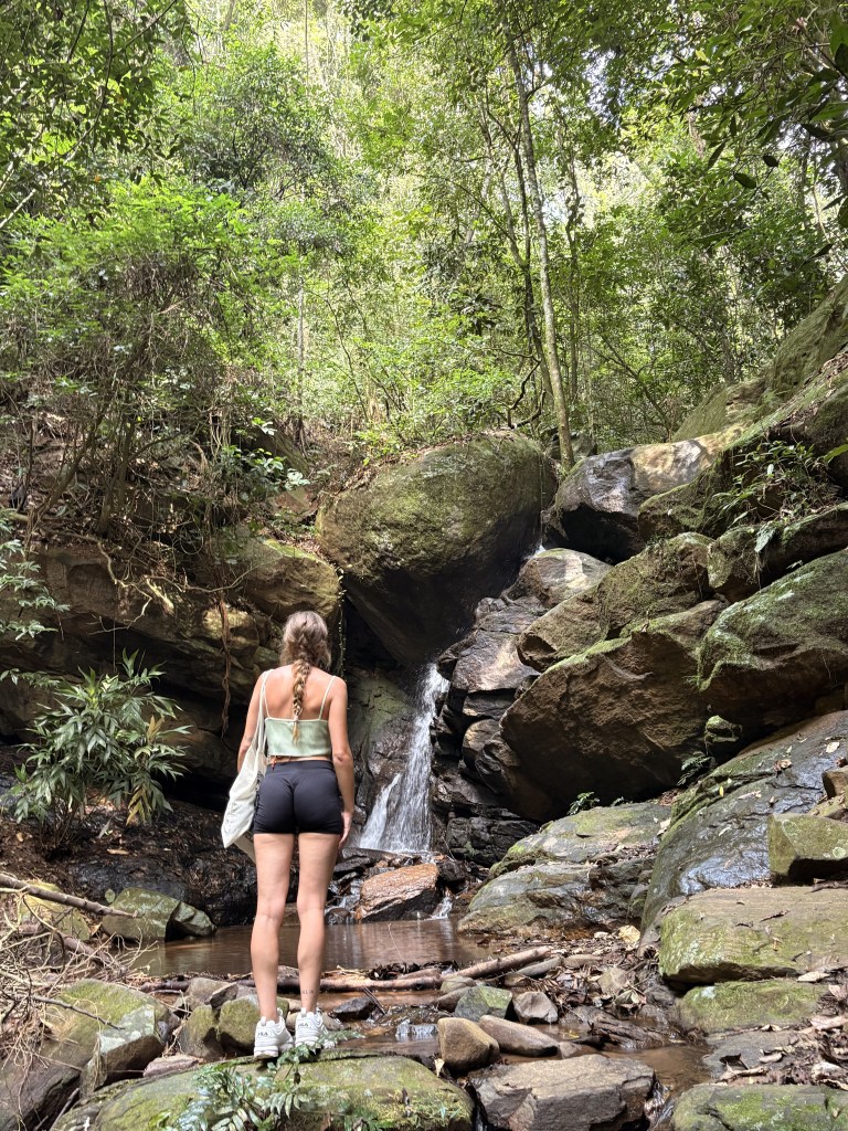 Circuito de Cascadas en la Floresta da Tijuca